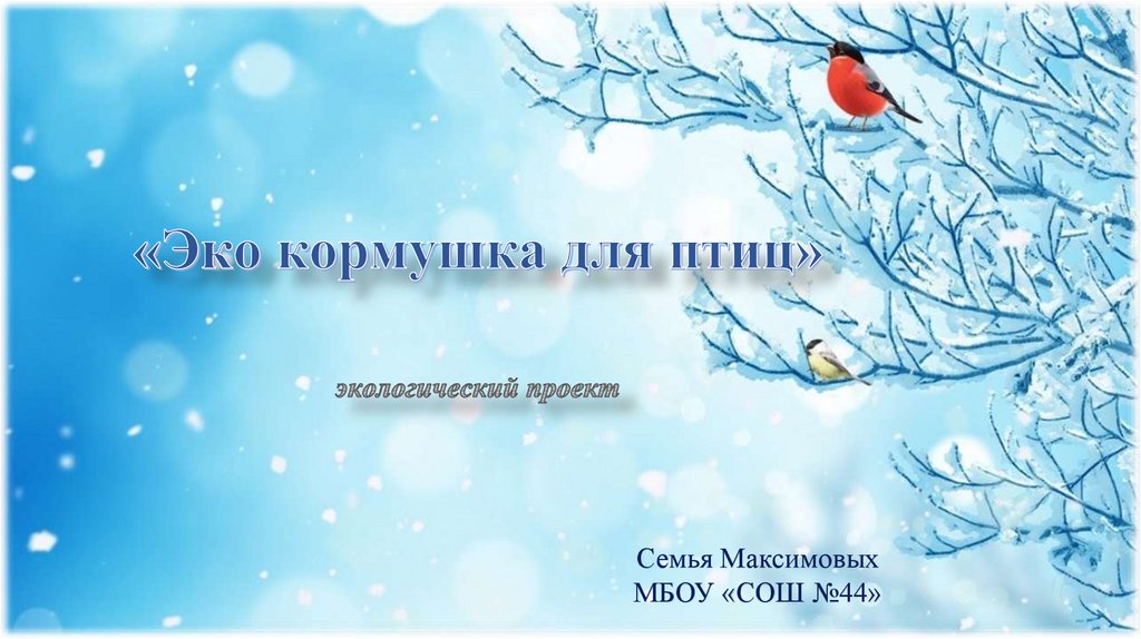 Экокормушка для птиц - online presentation