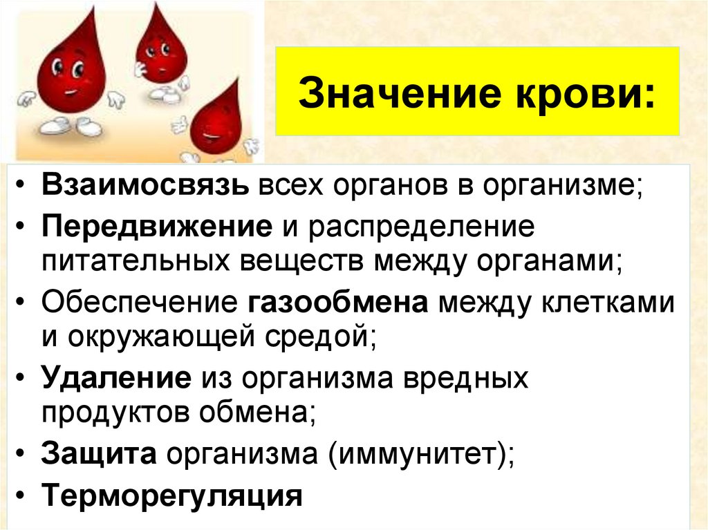 Что означает в крови много. Значение крови. Значение крови для организма человека. Какое значение для организма имеет кровь. Важность крови.