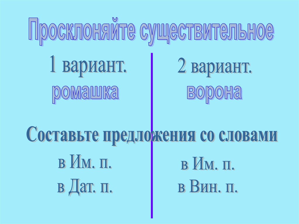 Проверочная работа по склонению существительных 3 класс