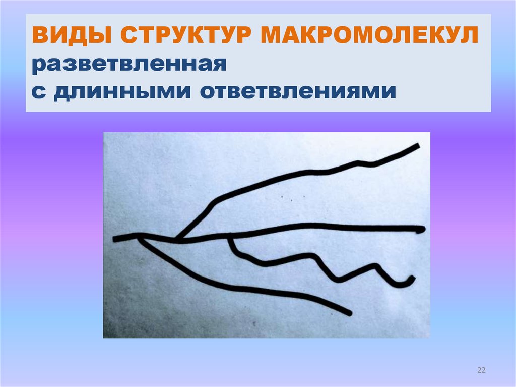 ВИДЫ СТРУКТУР МАКРОМОЛЕКУЛ разветвленная с длинными ответвлениями