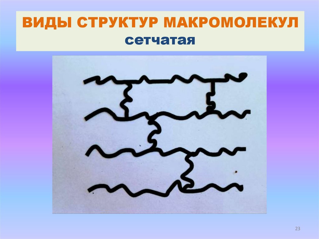 Структуры макромолекулы. Структуры макромолекулы