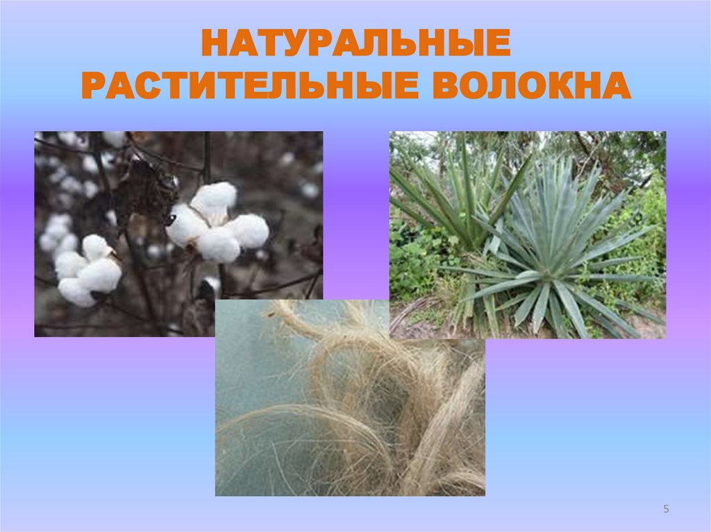 НАТУРАЛЬНЫЕ РАСТИТЕЛЬНЫЕ ВОЛОКНА