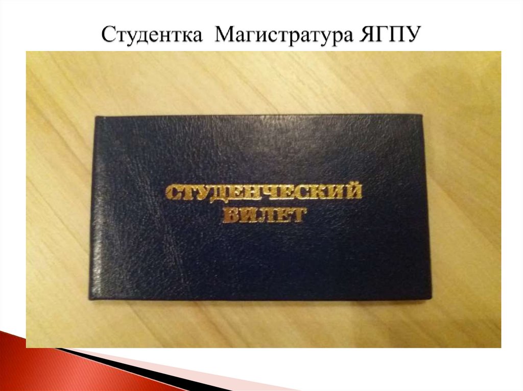 Студентка Магистратура ЯГПУ