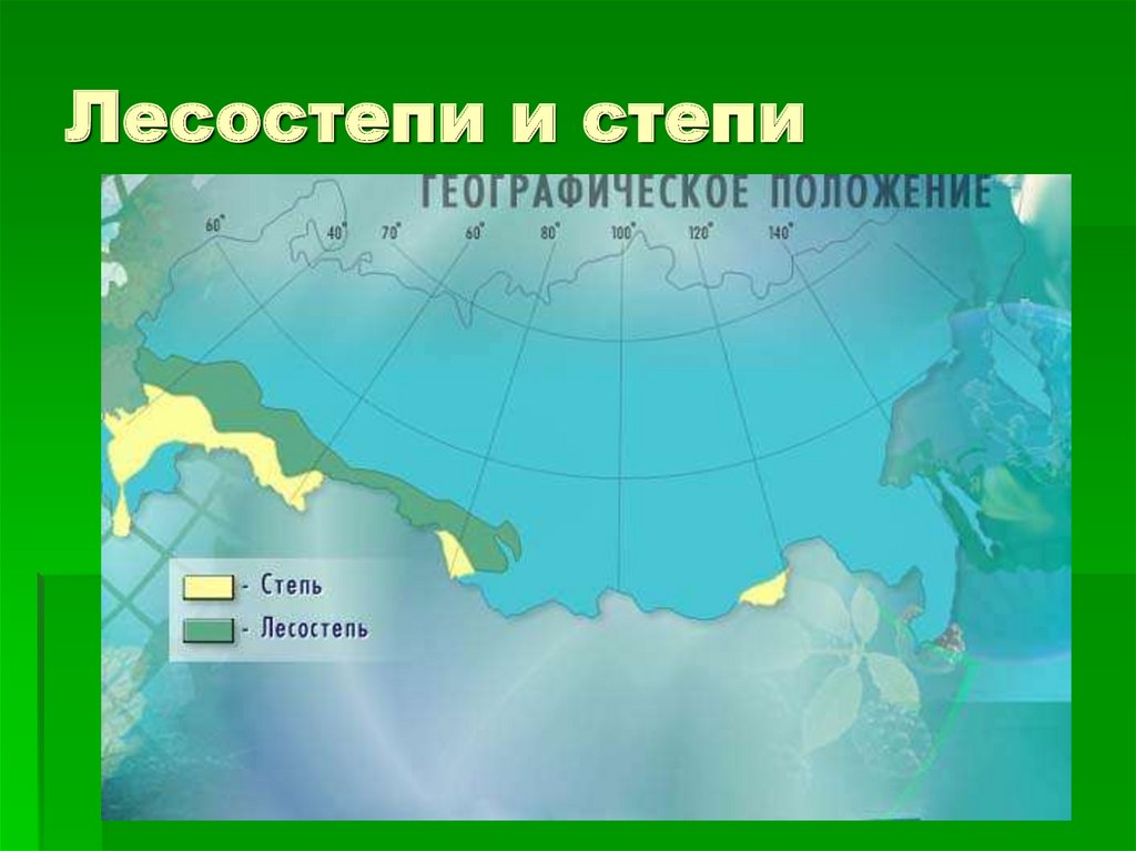 Лесостепная зона на карте. Географическое положение степи. Географическое положение степи в России. Географическое расположение лесостепей и степей. Графическое положение лесостепи.