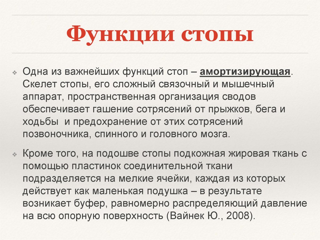 Функции стопы