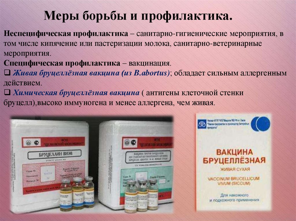 Бруцеллез (лат. название brucellosis) - online presentation