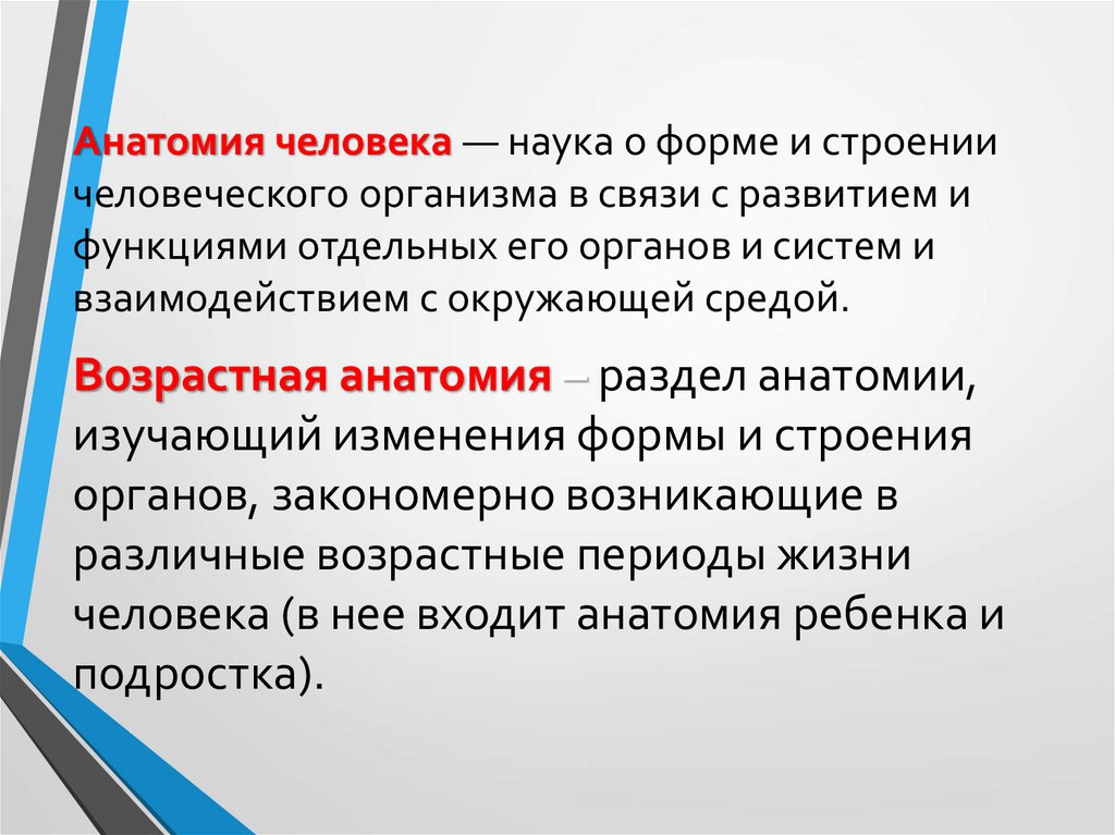 Возрастная анатомия. Что изучает возрастная анатомия и физиология. 1. Возрастная анатомия и физиология как наука. Организм как целое возрастная анатомия. Сознание в возрастной анатомии.