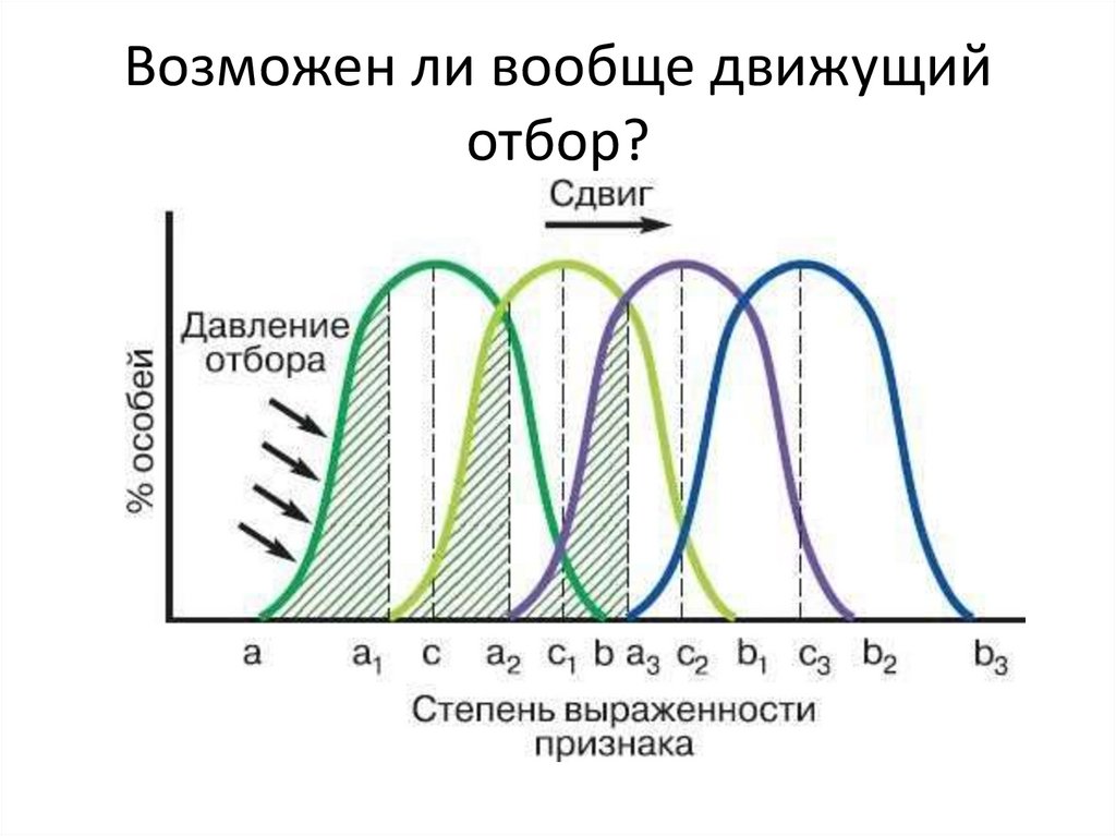 Движущий отбор график. Движущий естественный отбор. Движущая форма естественного отбора. Дестабилизирующий отбор.