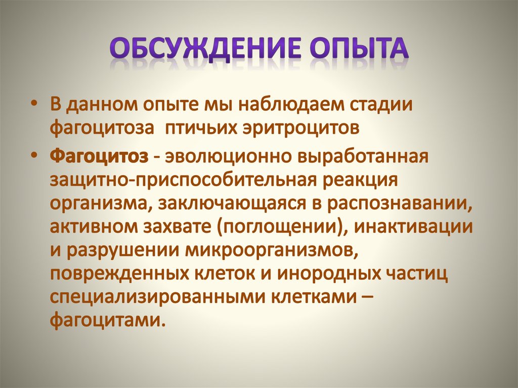 Обсуждение опыта