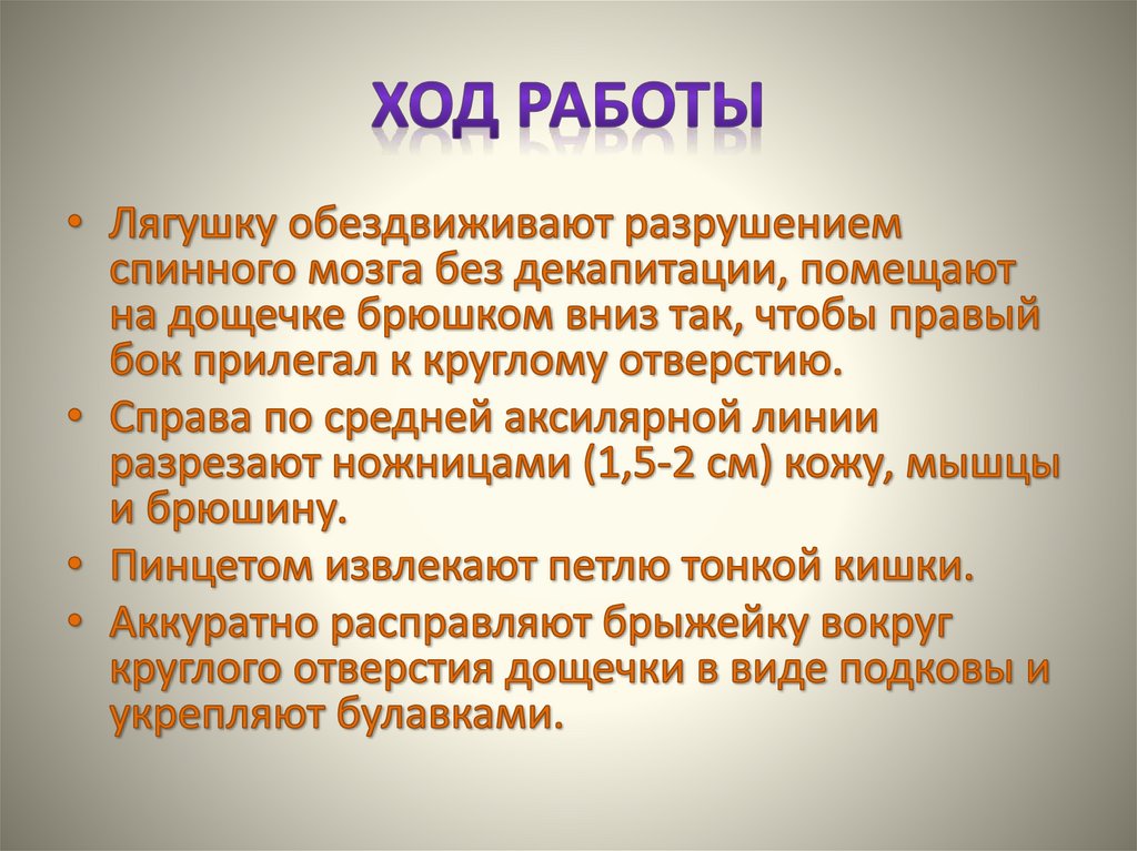 Ход работы