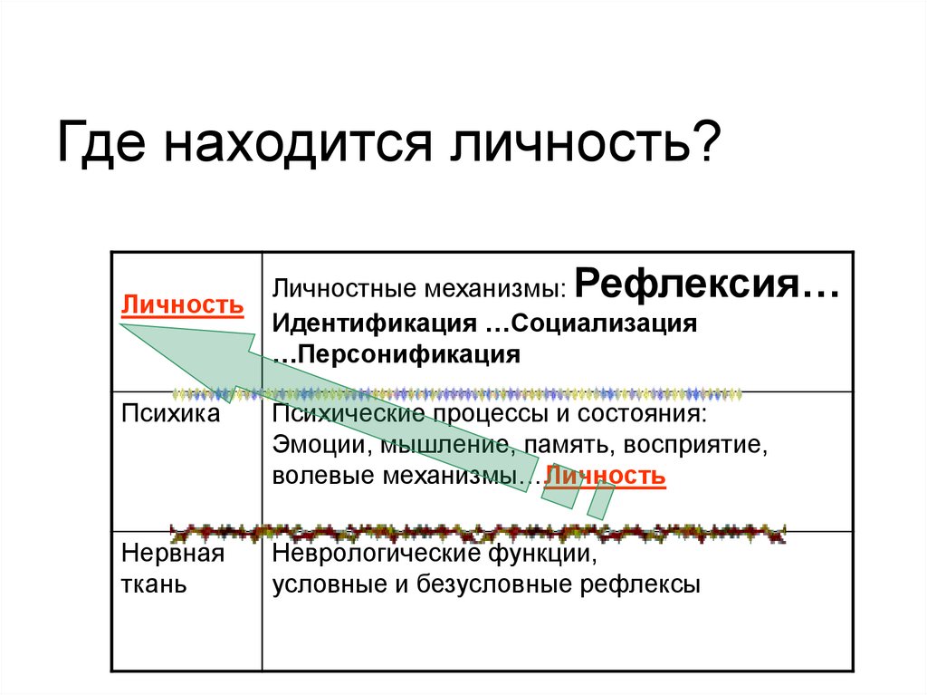 Где находится личность человека