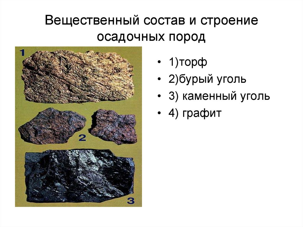 К какой группе пород относится гранит. Структуры осадочных пород. Структура осадочных горных пород. Осадочные горные породы примеры. Осадочные химические горные породы примеры.