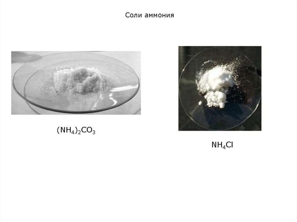 Nh4cl какая соль. Соли аммония. Аммониевая соль. Гидроксид аммония это соль. Соли аммония строение.