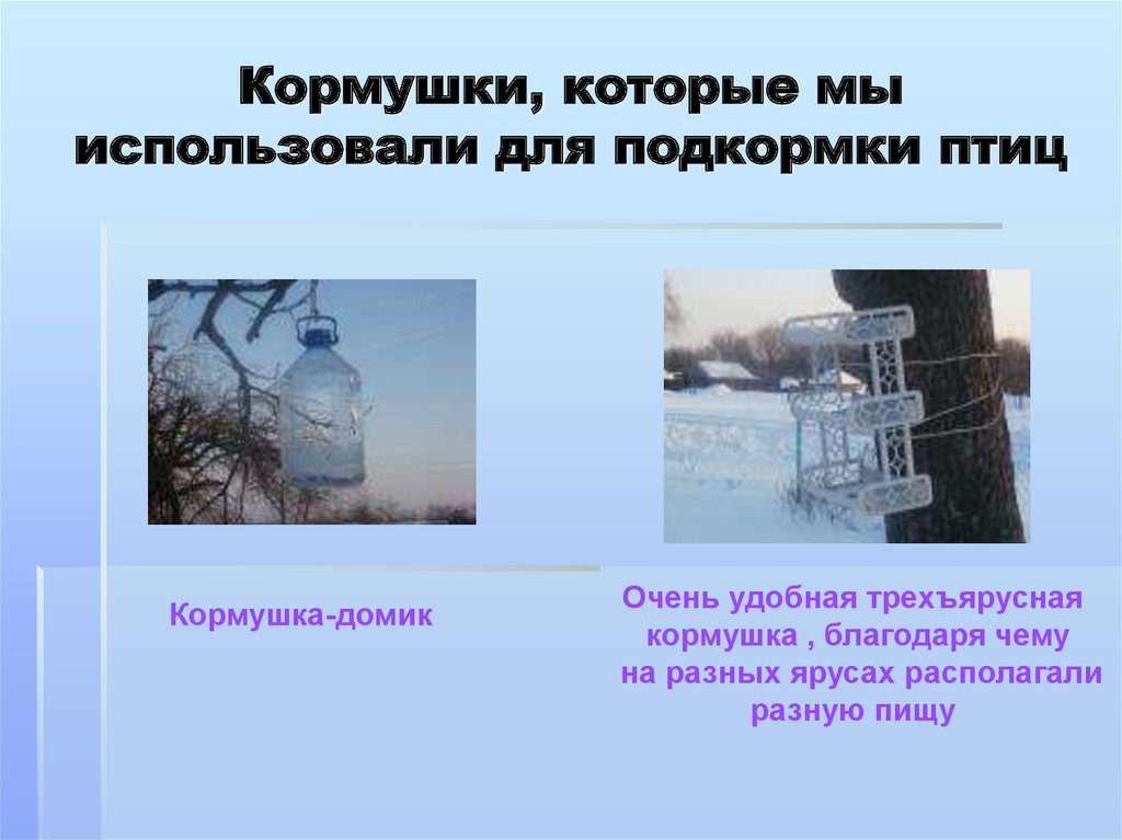 Кормушки, которые мы использовали для подкормки птиц
