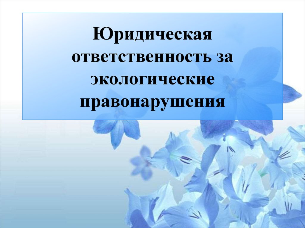 Презентация на тему юридическая ответственность за экологические правонарушения