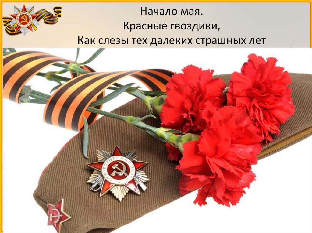 Начало мая. Красные гвоздики, Как слезы тех далеких страшных лет