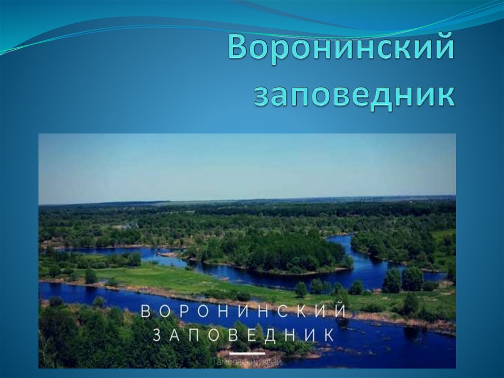 Воронинский заповедник презентация