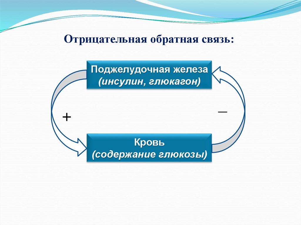 Обратная связь в презентации