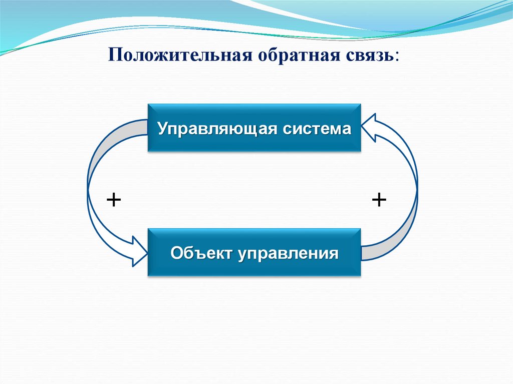 Положительная обратная связь. Петля положительной обратной связи. Положительная Обратная связь в управлении. Обратно позитивная связь.