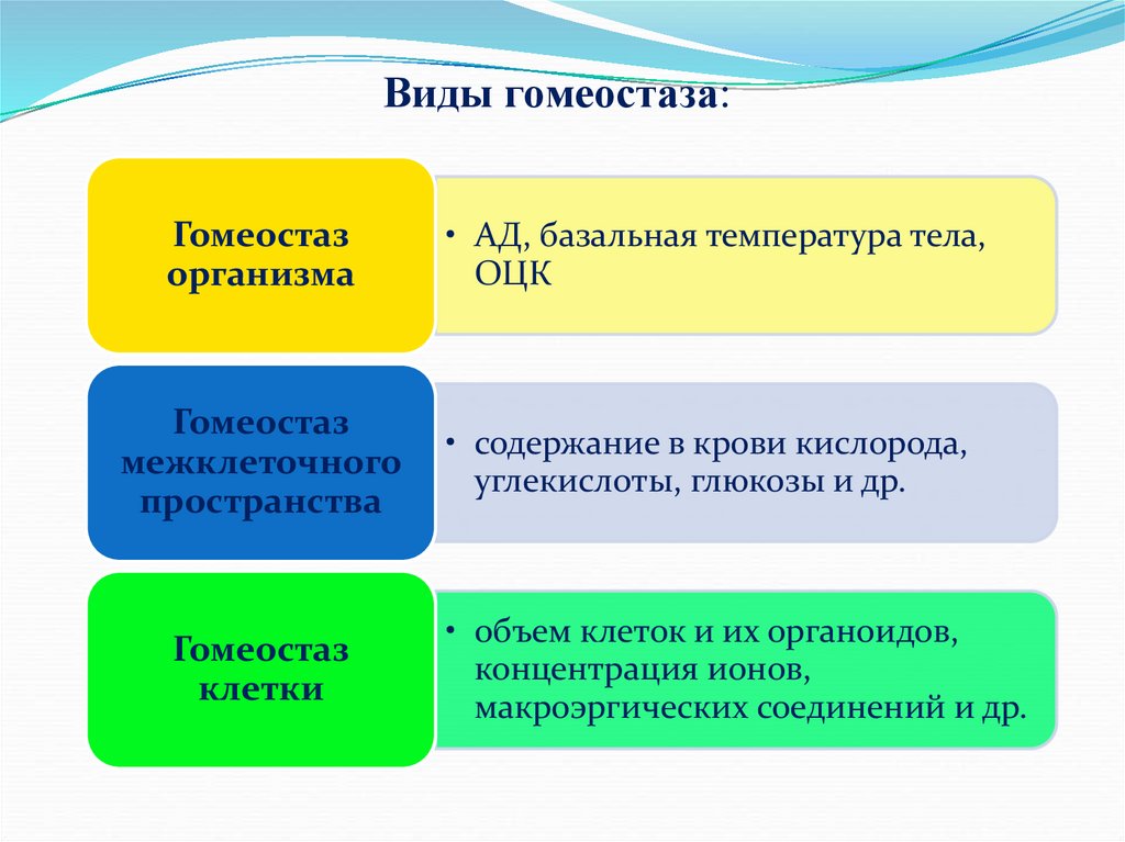 Гомеостаз уровни. Гомеостаз примеры. Типы гомеостаза. Структурный гомеостаз. Гомеостаз виды гомеостаза.