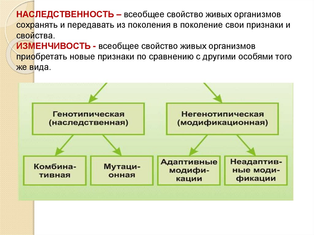 Признаки приобретенные организмом. Наследственность свойство живых организмов. Наследственность это свойство всех живых организмов передавать \. Свойство живых организмов сохранять генетическую информацию. Приобретение новых признаков и свойств.