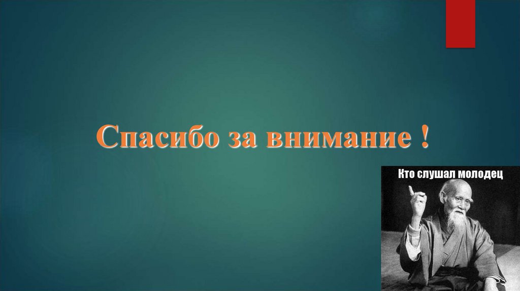 Спасибо за внимание !