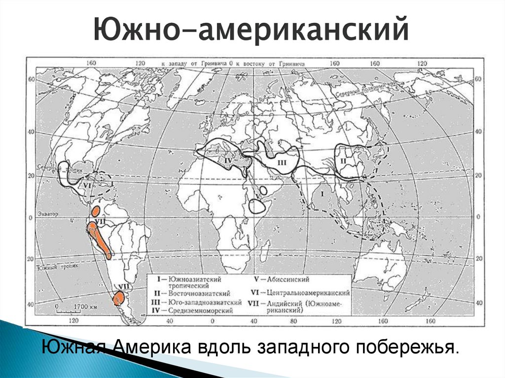 Южная америка центр происхождения культурных растений. Южноамериканский центр происхождения культурных растений. Центры происхождения культурных растений карта. Абиссинский центр происхождения культурных растений. 12 Центров происхождения культурных растений.