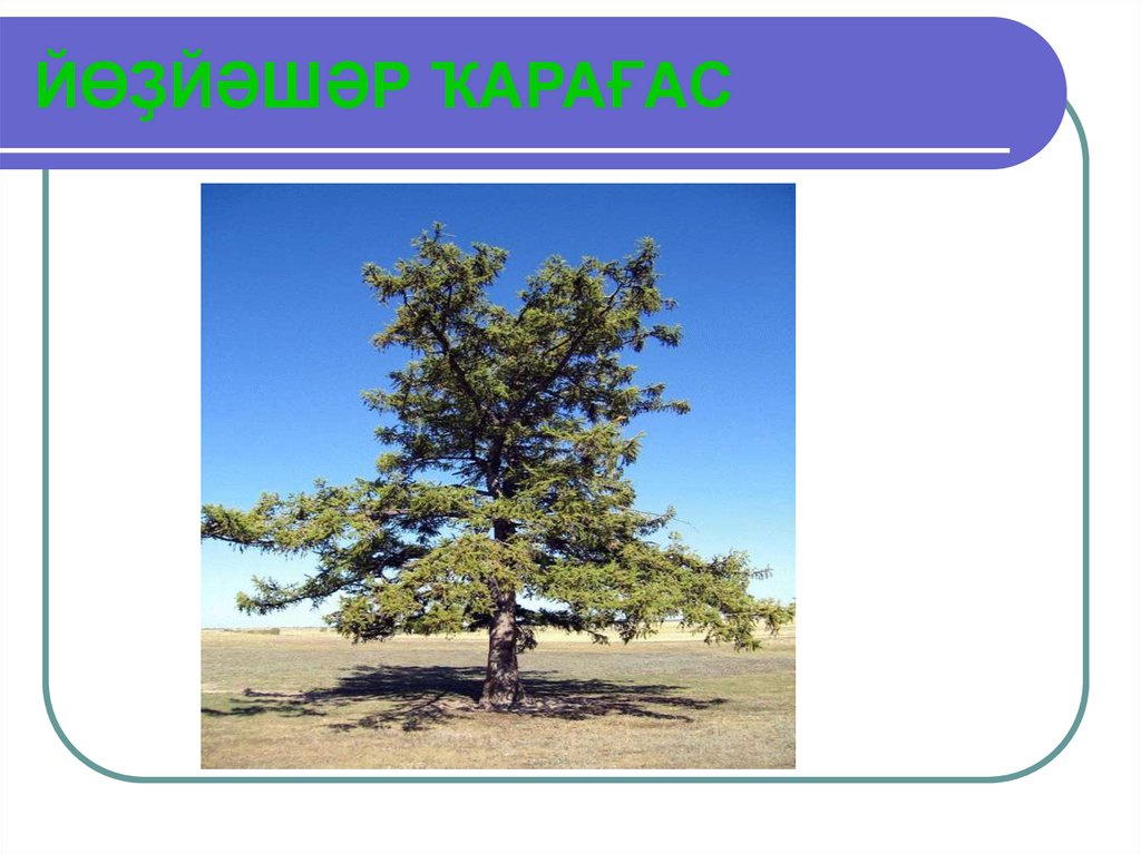 ЙЃЌЙЂШЂР ѓАРАЉАС