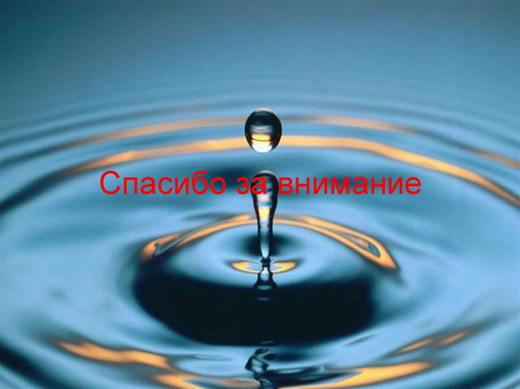 Спасибо за внимание