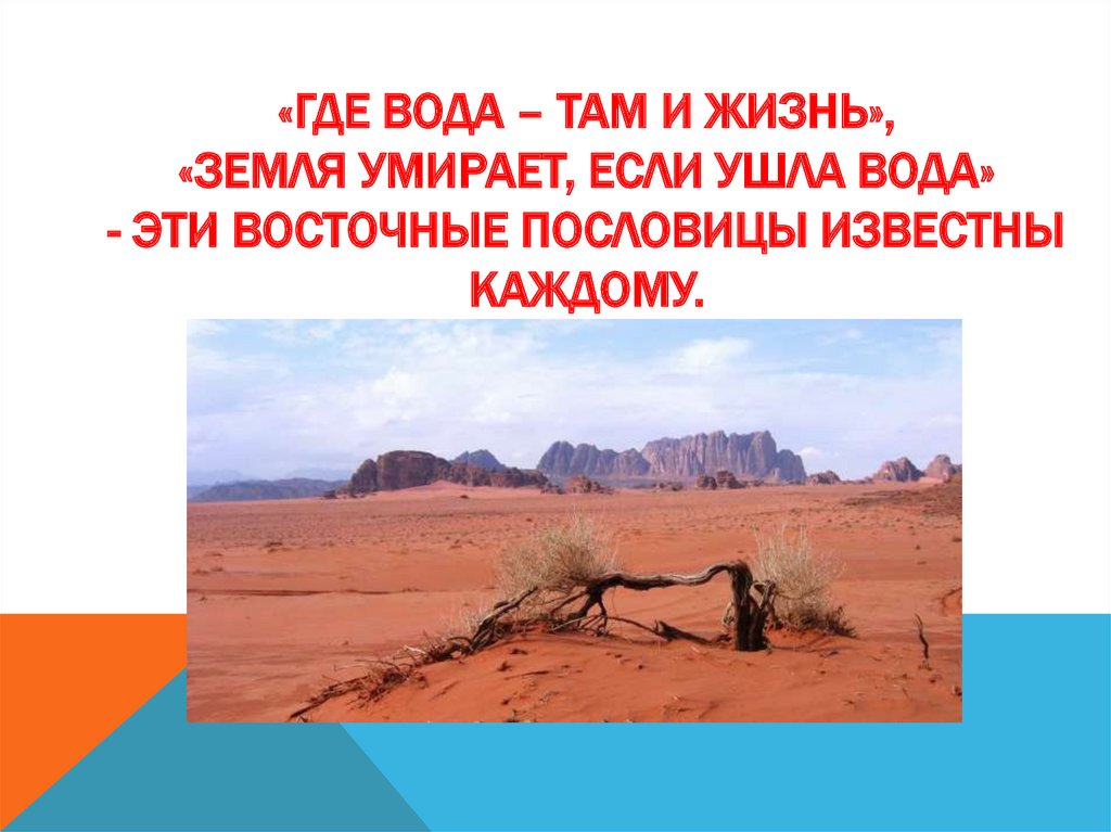 «Где вода – там и жизнь», «Земля умирает, если ушла вода» - эти восточные пословицы известны каждому.