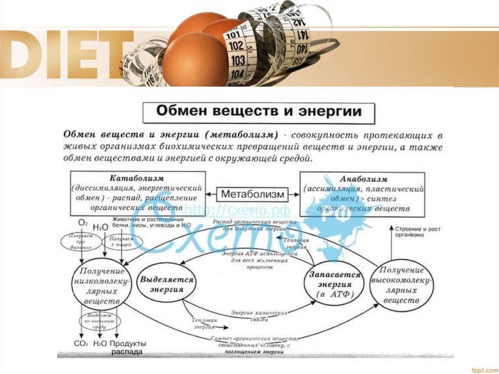 Е обмен