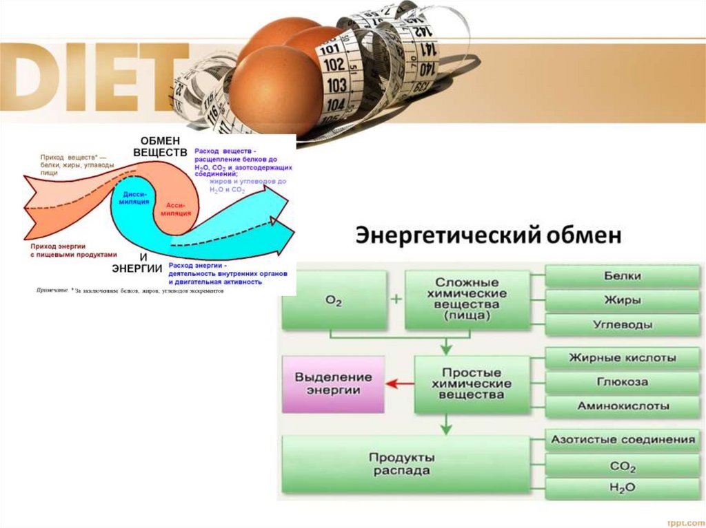 Д обмен