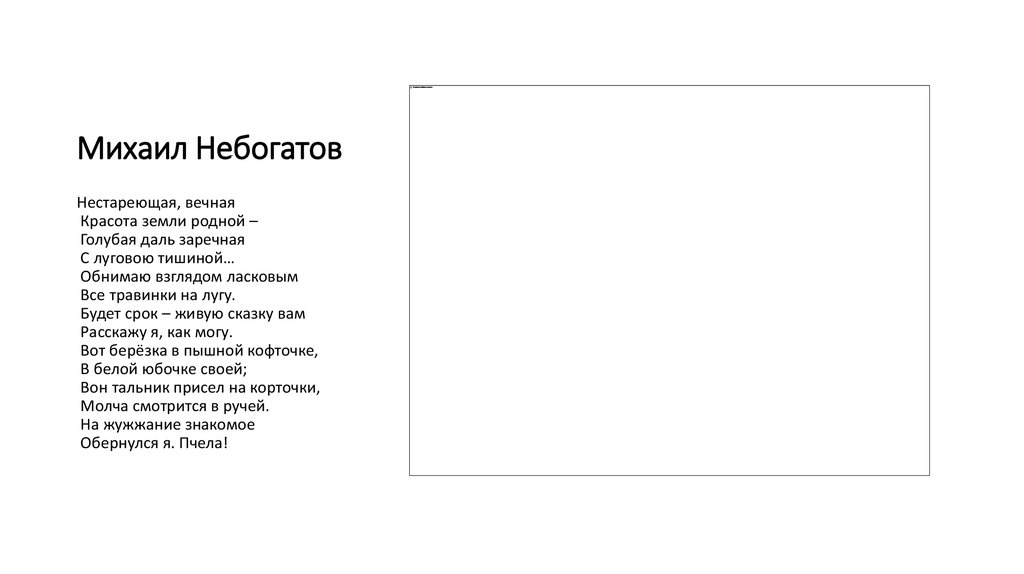 Михаил Небогатов