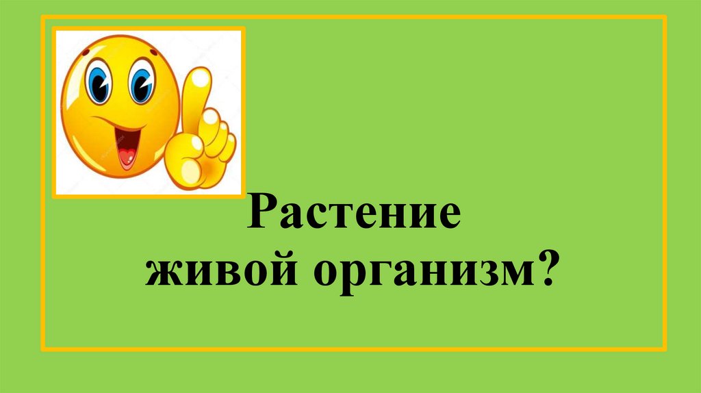 Растение живой организм