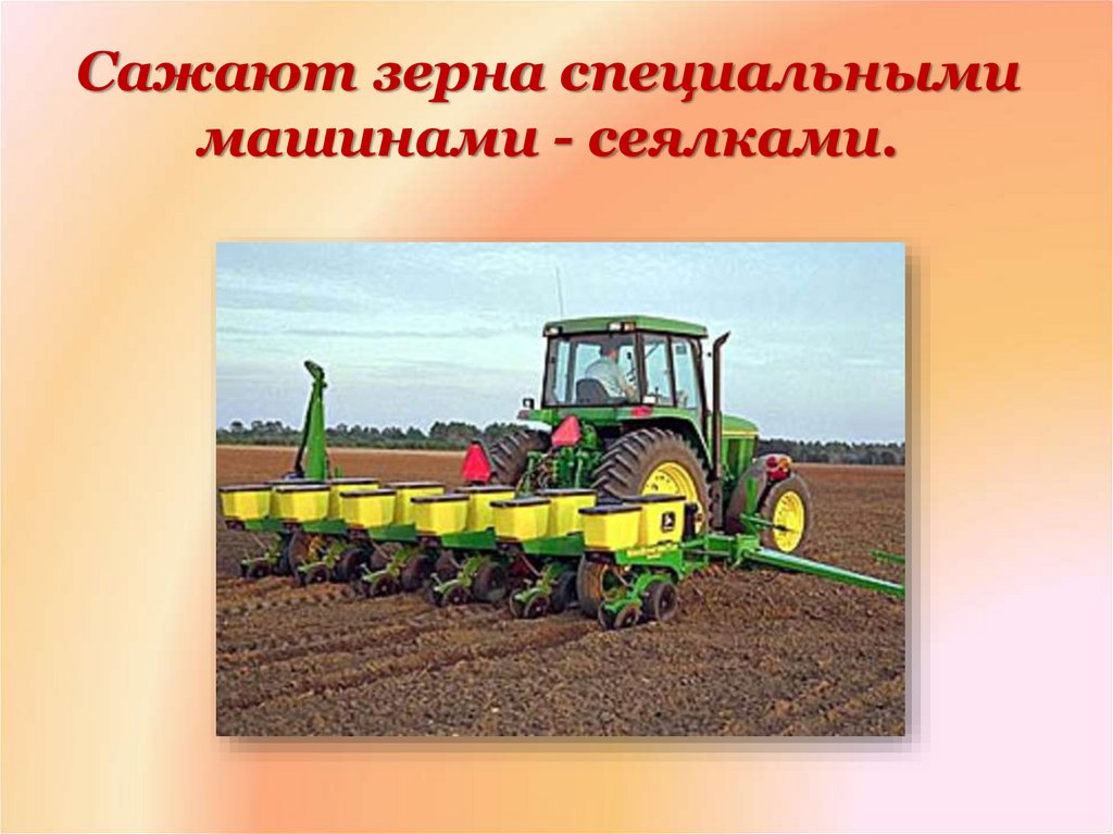 Зерно сеют или сеят как правильно. Трактор сеет зерно. Посев трактором. Трактора пашут землю и сеют. Машины для посева.