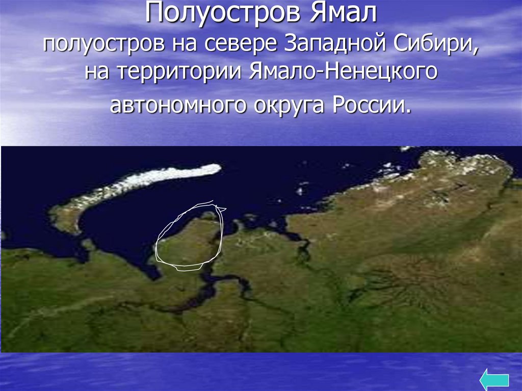Какой полуостров является самым крупным по площади. Полуострова России. Острова и полуострова. Полуостров на севере. Самые большие острова и полуострова России.