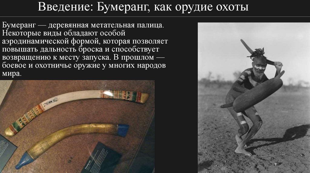 Введение: Бумеранг, как орудие охоты