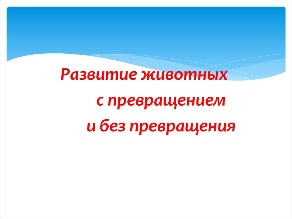 Презентация на тему развитие животных с превращением и без превращения 7 класс