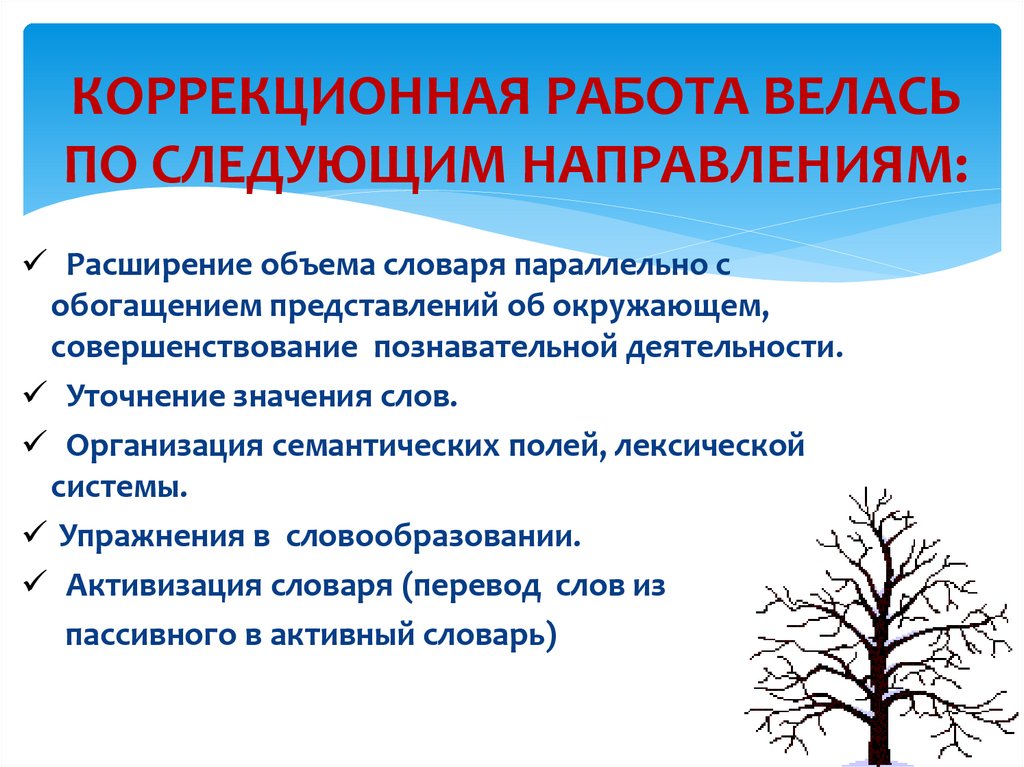 КОРРЕКЦИОННАЯ РАБОТА ВЕЛАСЬ ПО СЛЕДУЮЩИМ НАПРАВЛЕНИЯМ: