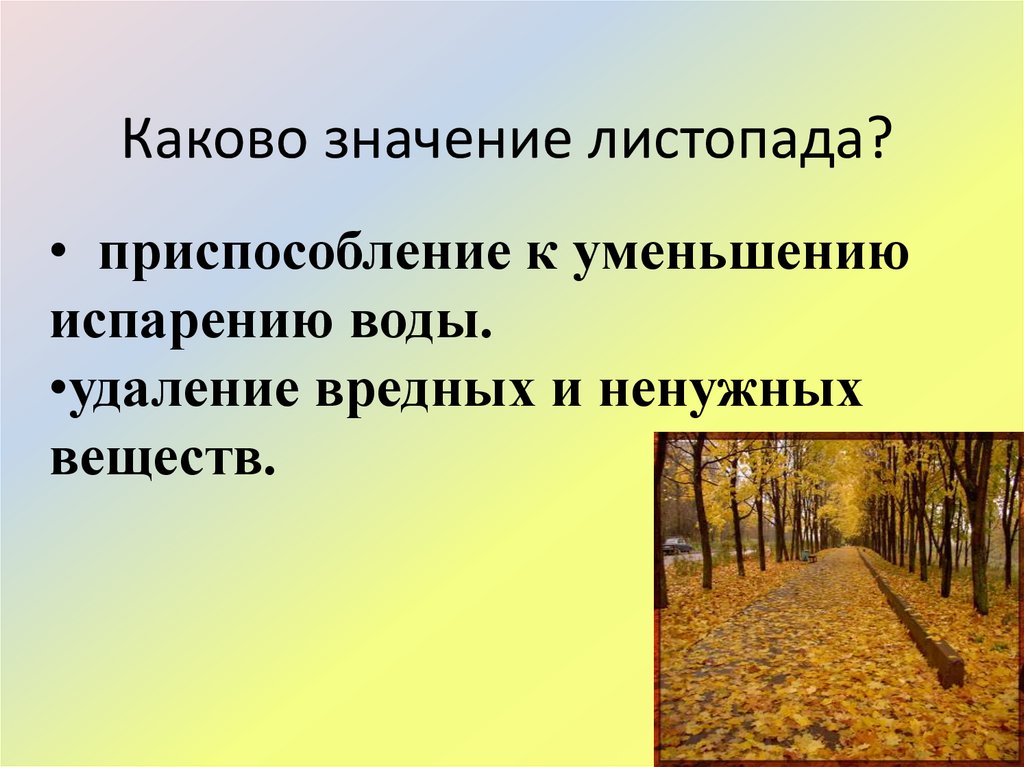 Испарение воды растениями листопад 6 класс презентация