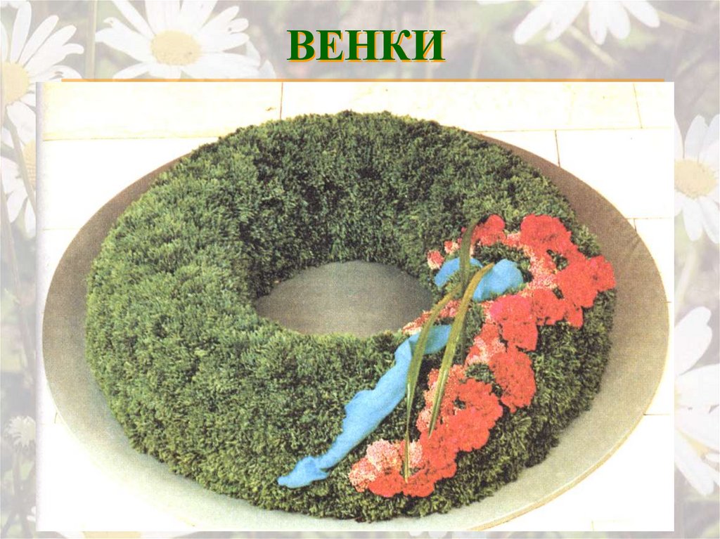 ВЕНКИ