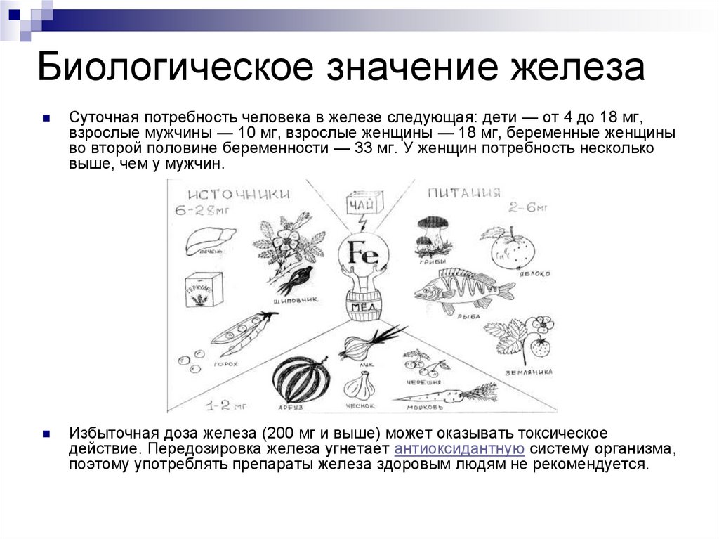 Значение железа. Потребность человека в железе. Биологическое значение платины. Биологическое значение железа. Значение железа у детей.