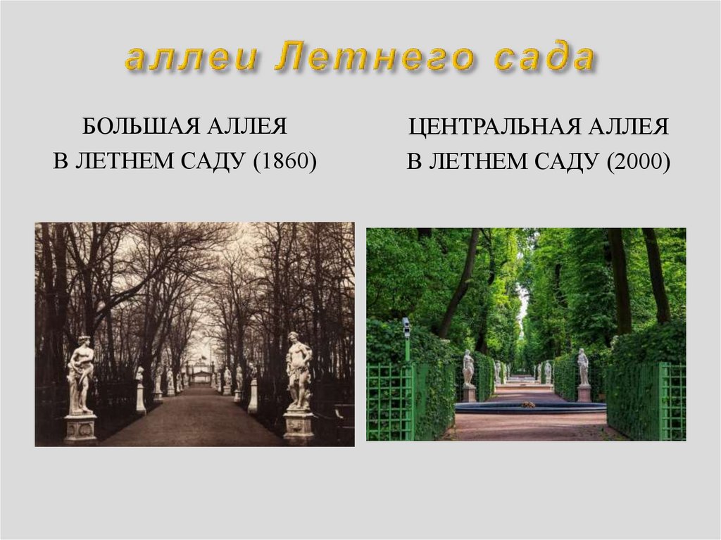 аллеи Летнего сада