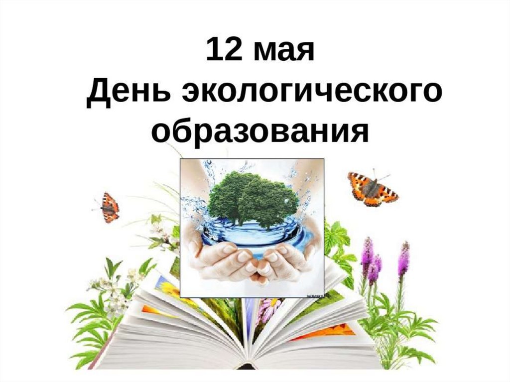 День экологического образования презентация