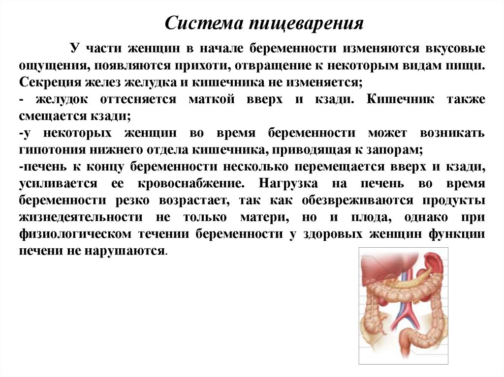 Физиология беременности презентация