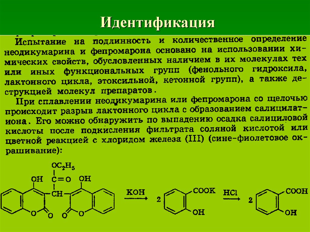 Основа оне