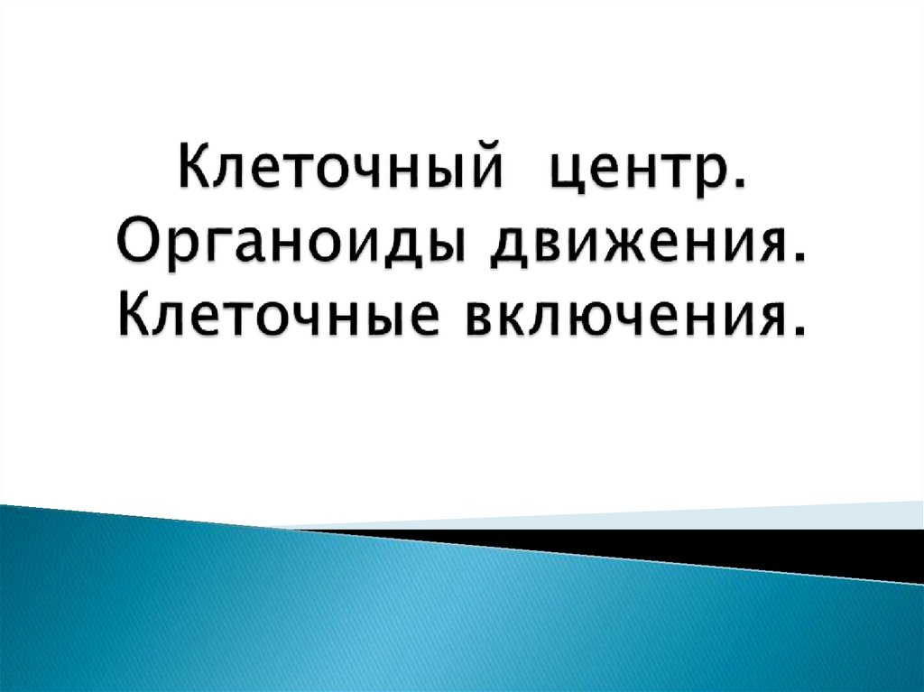 Что обеспечивает движение клетки
