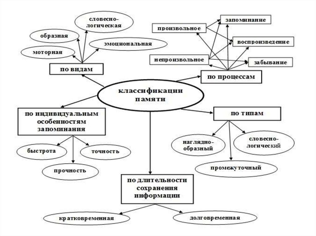 Заполните схему виды памяти