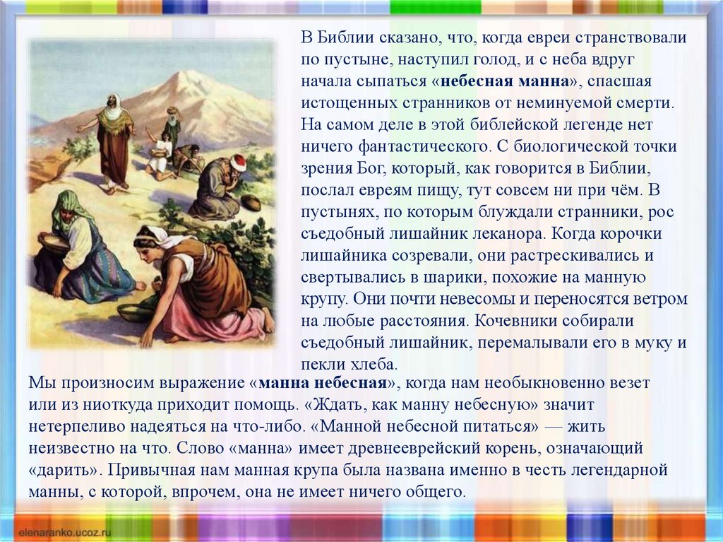 Сообщение о манной небесной. Происхождение фразеологизма Манна Небесная. Возникновение фразеологизма Манна Небесная. Манна Небесная значение. Как возник фразеологизм Манна Небесная.