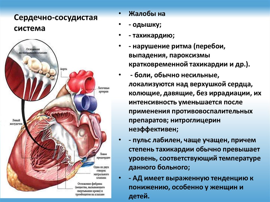 Сердечно-сосудистые заболевания симптомы. Заболевания сердечно-сосудистой системы проявления. Признаки сердечно сосудистой патологии. Главные симптомы заболеваний сердечно сосудистой системы:.